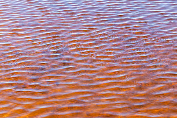 Natural ripples form on a brightly lit water surface, creating a tranquil scene of subtle patterns and warm-toned reflections. Background photo texture