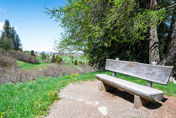 istock View of the Alpe di Siusi 2214822929