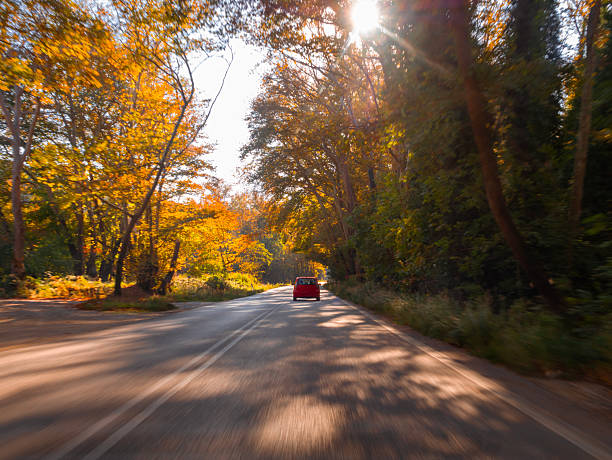 Car a road in Greece among the autumn forest