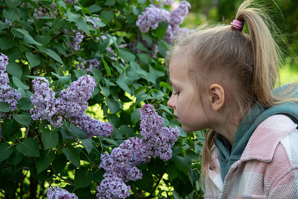 istock girl posing in blooming lilac 2214828229