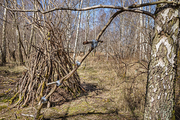 A rustic forest hideaway built by children using branches and natural materials, nestled among tall trees. This simple, playful shelter reflects youthful creativity and an adventurous spirit, as young builders craft a temporary refuge in the wilderness. The surrounding forest provides a tranquil backdrop, emphasizing the connection between childhood imagination and nature. Ideal for themes of outdoor exploration, childhood play, and natural discovery. The picture is taken in a forest outside the Danish capital Copenhagen