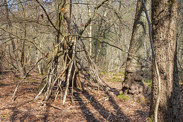 A rustic forest hideaway built by children using branches and natural materials, nestled among tall trees. This simple, playful shelter reflects youthful creativity and an adventurous spirit, as young builders craft a temporary refuge in the wilderness. The surrounding forest provides a tranquil backdrop, emphasizing the connection between childhood imagination and nature. Ideal for themes of outdoor exploration, childhood play, and natural discovery. The picture is taken in a forest outside the Danish capital Copenhagen