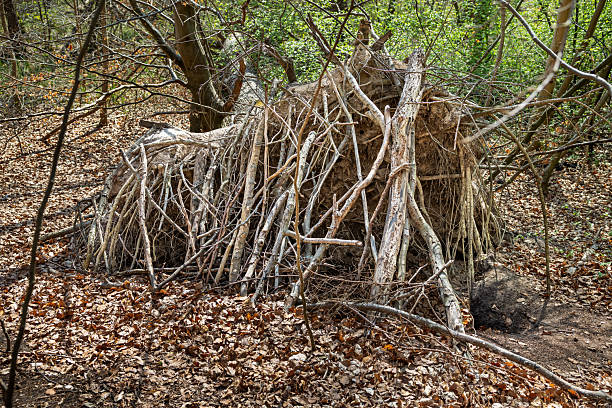 A rustic forest hideaway built by children using branches and natural materials, nestled among tall trees. This simple, playful shelter reflects youthful creativity and an adventurous spirit, as young builders craft a temporary refuge in the wilderness. The surrounding forest provides a tranquil backdrop, emphasizing the connection between childhood imagination and nature. Ideal for themes of outdoor exploration, childhood play, and natural discovery. The picture is taken in a forest outside the Danish capital Copenhagen
