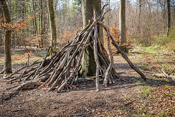 A rustic forest hideaway built by children using branches and natural materials, nestled among tall trees. This simple, playful shelter reflects youthful creativity and an adventurous spirit, as young builders craft a temporary refuge in the wilderness. The surrounding forest provides a tranquil backdrop, emphasizing the connection between childhood imagination and nature. Ideal for themes of outdoor exploration, childhood play, and natural discovery. The picture is taken in a forest outside the Danish capital Copenhagen