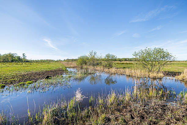 istock Tranquil Lake in a Flat Landscape – Early Spring 2214829639