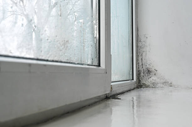 istock corner of window in apartment covered with black mold. 2214834701