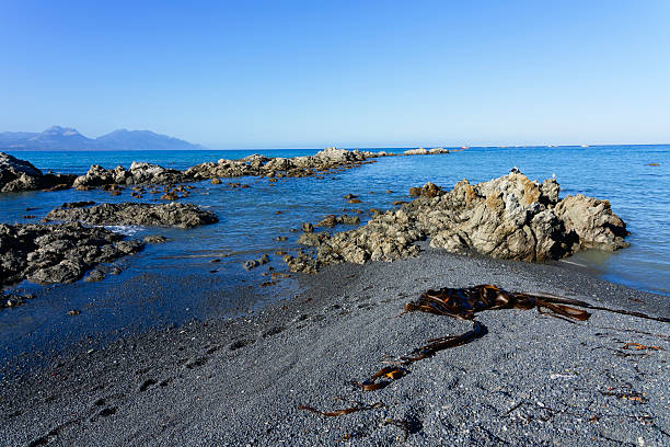 Looking out across the Pacific Ocean from the grey gravel Kaikoura beach.