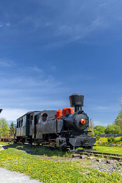 Old steam locomotive with passenger car standing on narrow gauge railway in Viglas, Slovakia