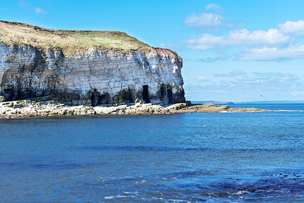 Famous chalk cliffs of Flamborough.  The 120m high chalk cliffs around Flamborough lighthouse and Flamborough Head on the East Yorkshire coastline are designated as a Site of Special Scientific Interest for both biological significance and geological significance.