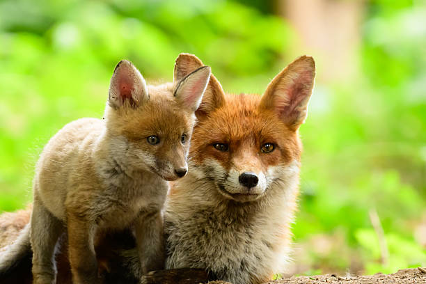 istock I will stand by you mum 2214849723