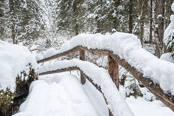 Wooden stairs to the frozen forest near Kivach waterfall, Karelia Republic