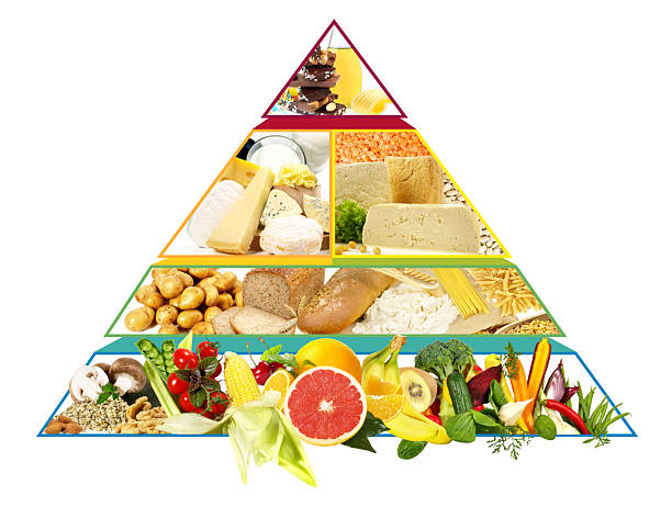 istock Food Pyramid - Vegetarian Diet Pyramid Recommendations 2214853831