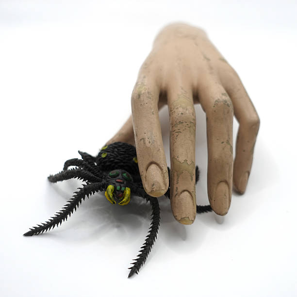 Spooky toy spider and old weathered mannequin doll hand on white background.