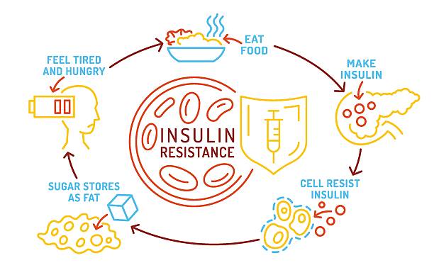 stockillustraties, clipart, cartoons en iconen met insulin resistance infographic showing causes and effects. - revolutie