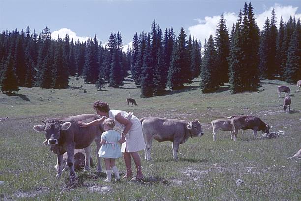 Tyrol, Austria, 1966. Family outing to the countryside. Mother and daughter encounter dairy cows in a meadow in the Austrian Alps.