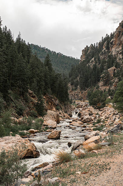 Running water outside of Estes Park, Colorado