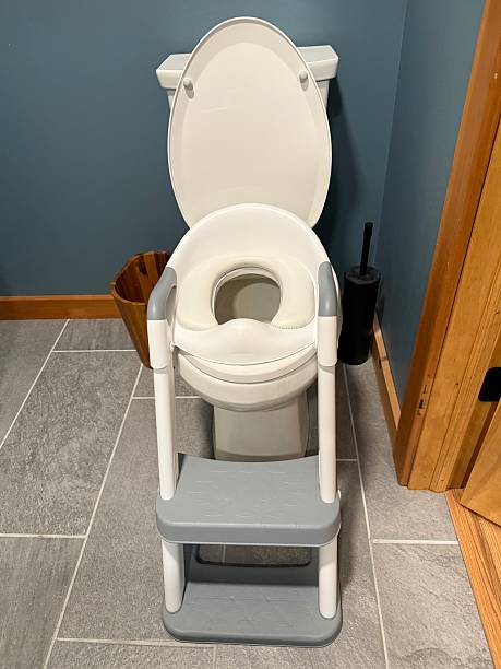 istock Toddler Toilet seat 2214863065