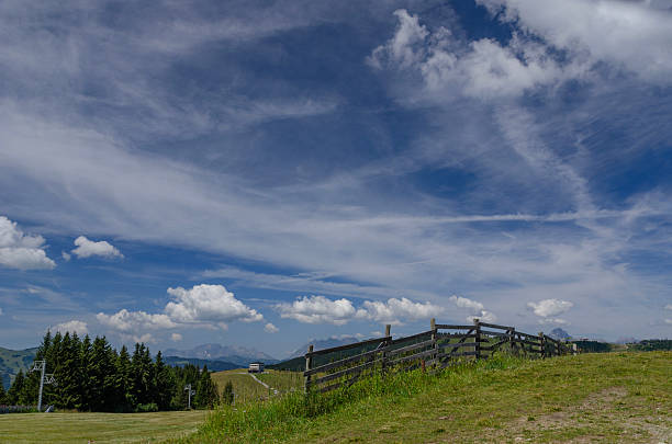 Scenic Alpine Mountain Landscape with Evergreen Trees, Blue Sky, Clouds on Sunny Summer Day.