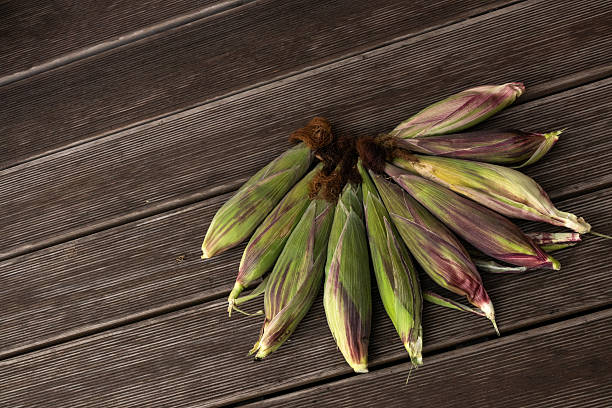 Decorative green unpeeled corn on a dark wooden floor