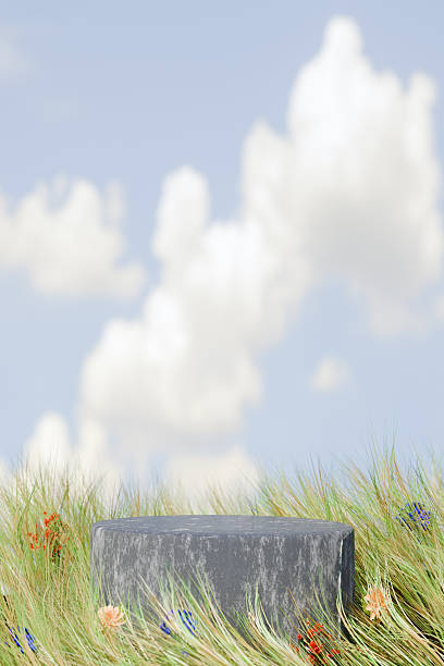 istock Stone podium platform for displaying product advertisement demonstration surrounded by green grass and flowers against cloudy sky. 3d render 2214868382