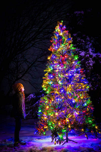 Colorful Christmas Tree Lit up Outdoors in the Snow with Trees