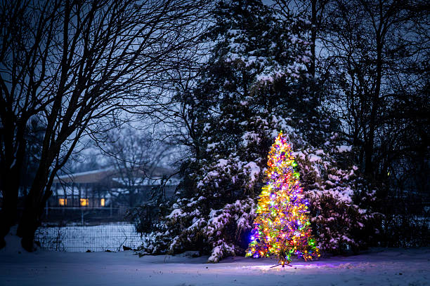 istock Colorful Christmas Tree Lit up Outdoors in the Snow with Trees 2214868568