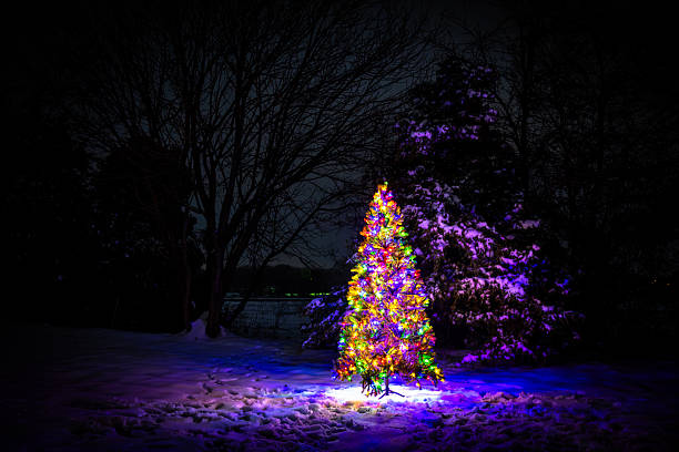istock Colorful Christmas Tree Lit up Outdoors in the Snow with Trees 2214868572