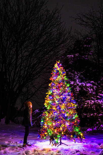 istock Colorful Christmas Tree Lit up Outdoors in the Snow with Trees 2214868611