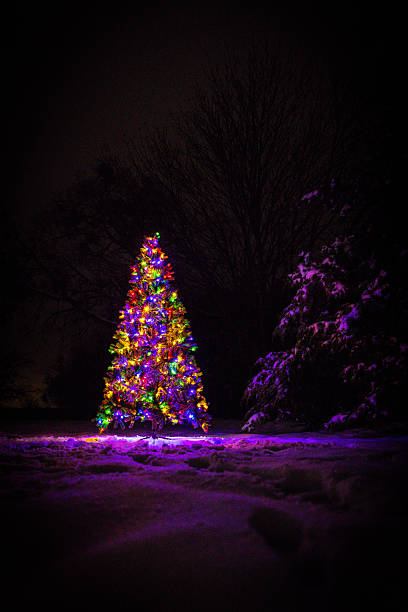 istock Colorful Christmas Tree Lit up Outdoors in the Snow with Trees 2214868639
