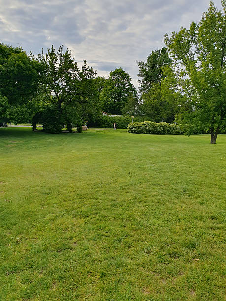 istock A spacious green lawn in a city park under a clear sky. Lush grass, open area surrounded by trees - an ideal place for a picnic 2214876509