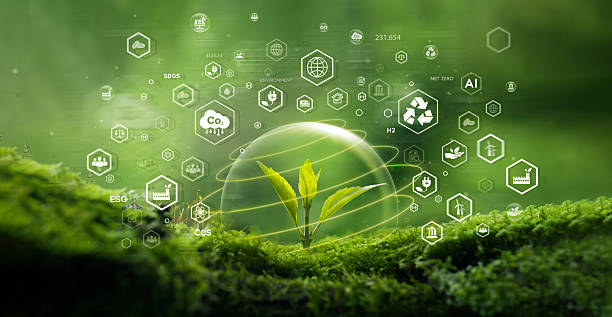 istock Seedling growing on moss with green forest icon - environment esg concept, ecology and sustainable environment of the world. Eco-friendly green business. ecology, earth day, csr and net zero 2214876544