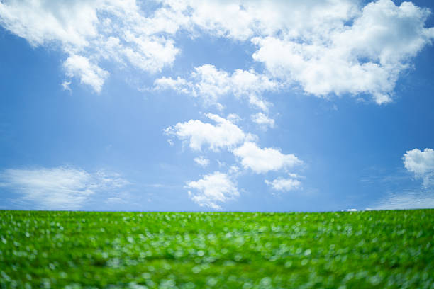 istock Grass background. Green field. Summer meadow. Spring hill. Grassy lawn. Grass texture. Natural green texture. Sunny grass. Countryside landscape. Pasture pattern. Grassland view. Rural grass. 2214884409