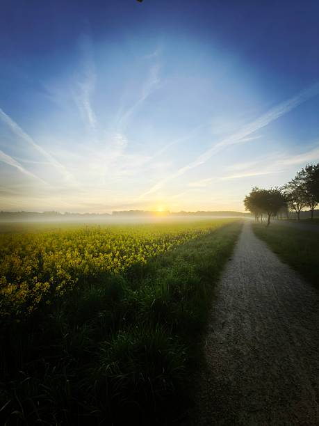 istock Experience the world through the lens. Sunsets, forests, animals – nature in all its glory. 2214887882