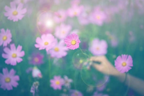 The one with the butterfly on the flower
