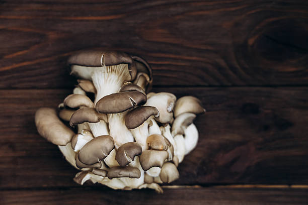 istock Mushrooms growing in clusters on a wooden surface in natural light 2214891911