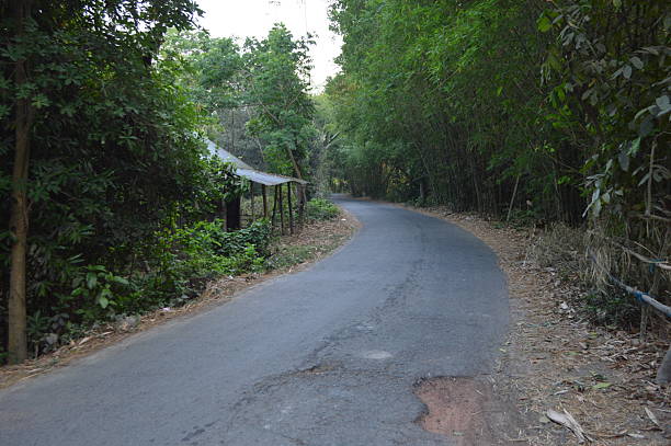 istock Village road covered with trees and beautiful nature . 2214892502