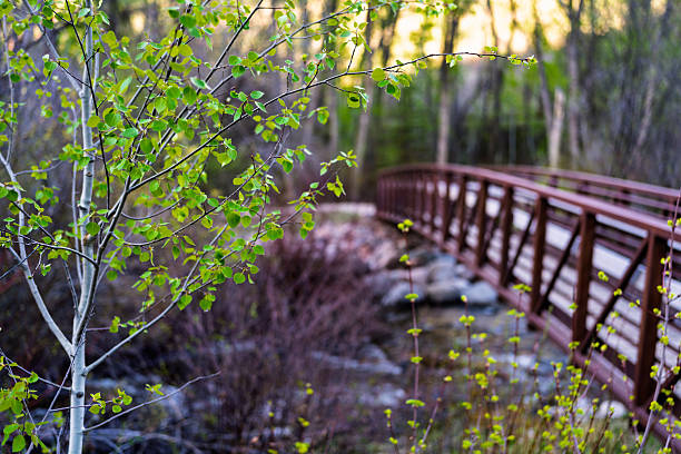 Bridge Over Water in Nature Area - Hiking trail that goes over bridge over a scenic mountain creek with lush foliage in springtime.