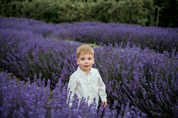 istock Little cute boy in lavender field. 2214900085