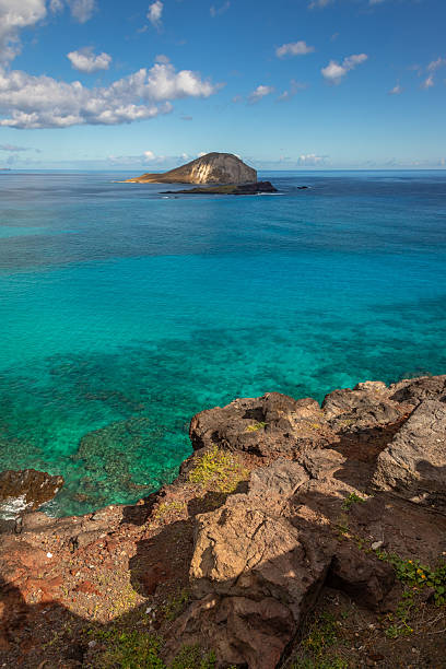 istock View from Makapu Lookout 2214906786