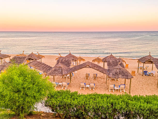 istock Landscape in a beach in Hammamet, Tunisia 2214913560