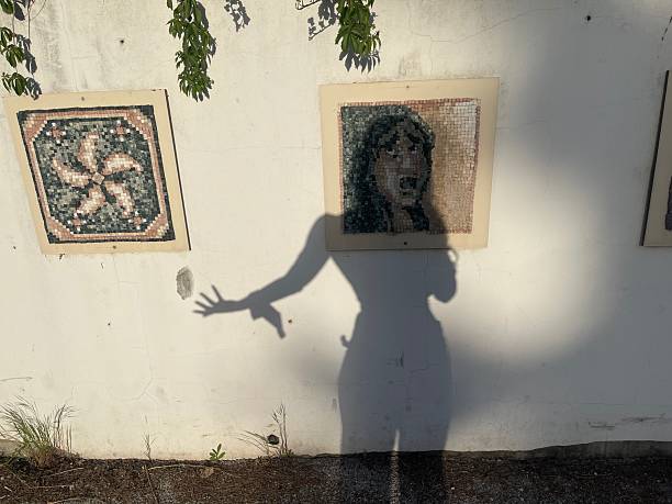 a screaming shadow framed woman's face, the sun and leaves reflected on the wall