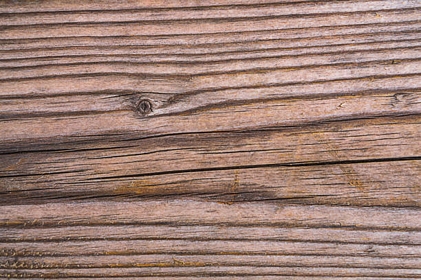 The background is a blank of a longitudinally cut spruce tree with clearly defined annual lines, differing in color. Softwood. Natural distinctive patterns.