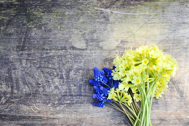 Yellow and blue flowers