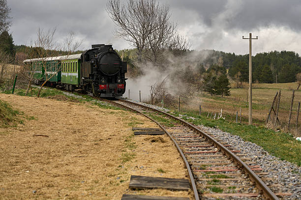 istock Vintage steam train in scenic countryside 2214940946