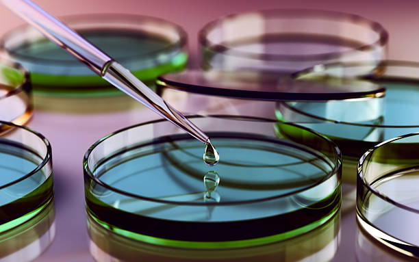 3d Render Testing Liquid from Glass Pipette into Petri Dish on Multi Colored Reflective Background, Laboratory and Medical Concept (Depth Of Field)