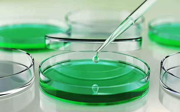 istock Testing Liquid from Glass Pipette into Petri Dish on Green Reflective Background 2214942366
