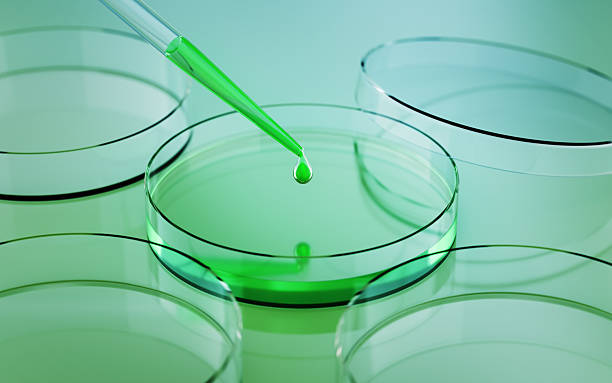 Testing Liquid from Glass Pipette into Petri Dish on Green Reflective Background