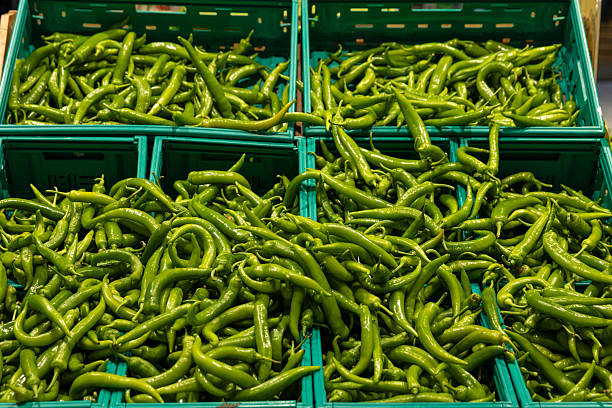 Green peppers stock photo