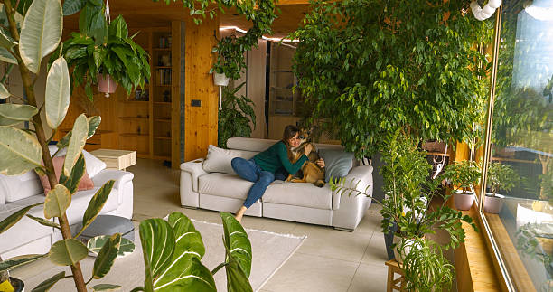 istock Tenderness between owner and her lovely shepherd dog, cuddling on a white couch 2214946139