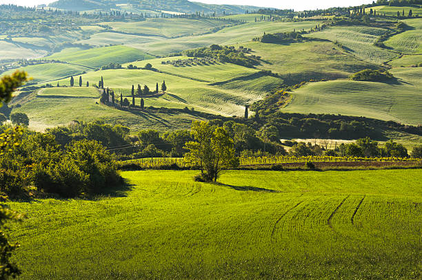 View below Pienza, Italy, demonstrates the traditional farm plots from centuries ago. They are still maintained to show the history of Tuscany. Green fields of wheat and cypress trees dominate the image.
